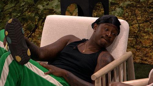 Big Brother Season 25 Episode 17 - Episode 17