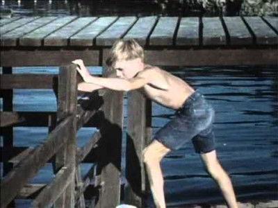 Flipper Season 2 Episode 17 - Flipper's Odyssey (2)