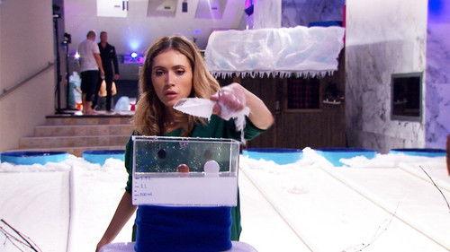 Big Brother Célébrités Season 1 Episode 12 - Episode 12