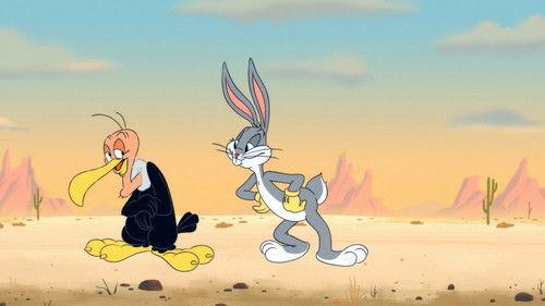 Looney Tunes Cartoons Season 1 Episode 15 - Buzzard School