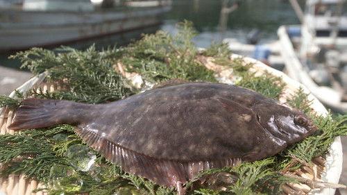 Trails to Oishii Tokyo Season 1 Episode 8 - KAREI