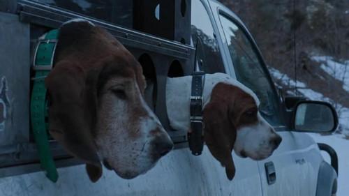 Mountain Men Season 11 Episode 6 - Proving Grounds