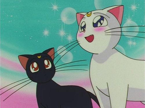 Sailor Moon Season 4 Episode 6 - Much Ado About Kitten