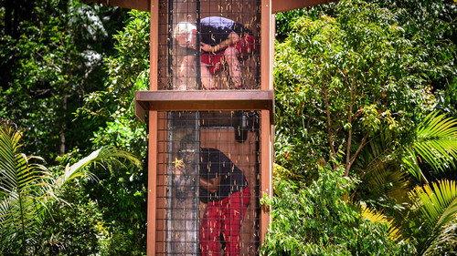 I'm a Celebrity...Get Me Out of Here! Season 22 Episode 10 - Angel of Agony