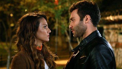 Ateşböceği Season 1 Episode 16 - Despite Everything