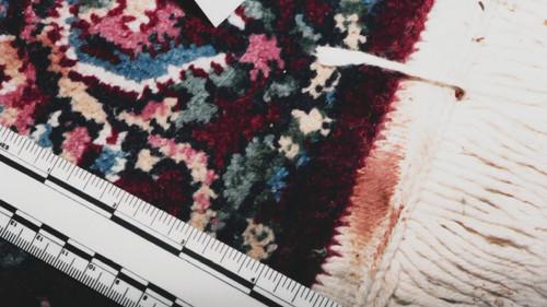 Buried In The Backyard Season 1 Episode 7 - Killer By The Coast