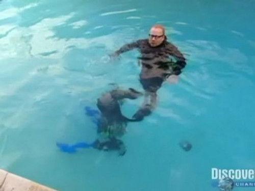 MythBusters Season 4 Episode 13 - Whirlpool/Snowplow