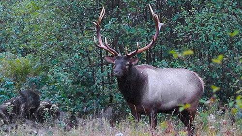 Great Lakes Wild Season 1 Episode 6 - The Damning Truth