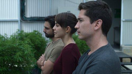 Background image for The Idiots