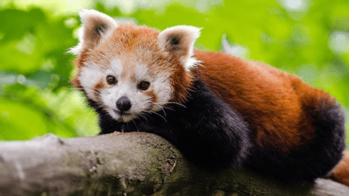 Dawn to Dusk Season 1 Episode 2 - Episode 2