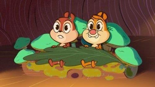Chip 'n' Dale: Park Life Season 1 Episode 2 - The Whole Package / Bird Brains / Acorn In My Side