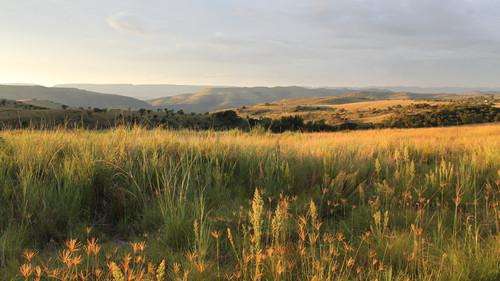 NOVA Season 43 Episode 1 - Dawn of Humanity