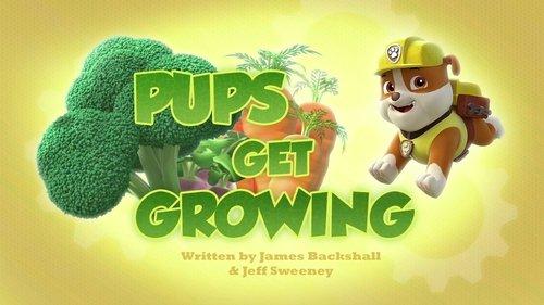 PAW Patrol Season 3 Episode 36 - Pups Get Growing