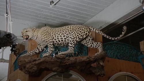 American Pickers Season 20 Episode 17 - King of Salvage