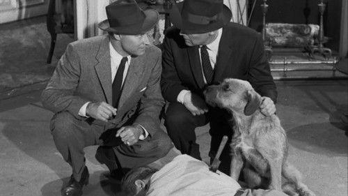 Perry Mason Season 1 Episode 17 - The Case of the Sun Bather's Diary