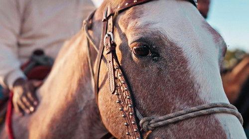 undefined Season 1 Episode 3 - Episode 3