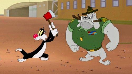 Looney Tunes Cartoons Season 2 Episode 1 - Red White and Bruised