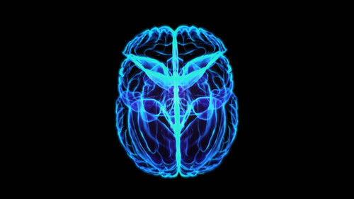 Through the Wormhole Season 7 Episode 4 - Can We All Become Geniuses?