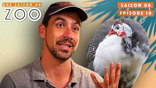 Une saison au zoo Season 6 Episode 10 - Episode 10