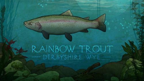 Background image for Rainbow Trout in the Monsal Valley