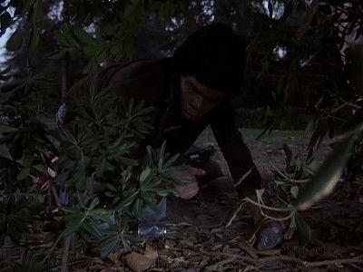 Quincy, M.E. Season 7 Episode 10 - Guns Don't Die