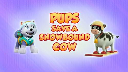 PAW Patrol Season 8 Episode 2 - Pups Save a Snowbound Cow