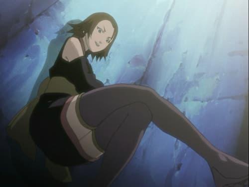 undefined Season 3 Episode 150 - A Battle of Bugs: The Deceivers and the Deceived