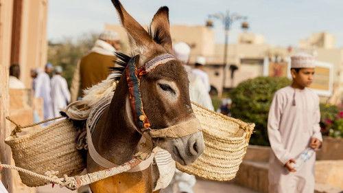 Wie is de Mol? Streaming-editie Season 1 Episode 7 - Episode 7