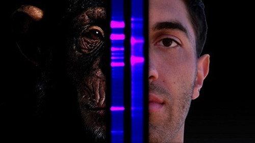Through the Wormhole Season 3 Episode 2 - Is There a Superior Race?
