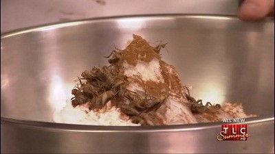 Cake Boss Season 4 Episode 18 - Bugs, Break Ups & Burned-out