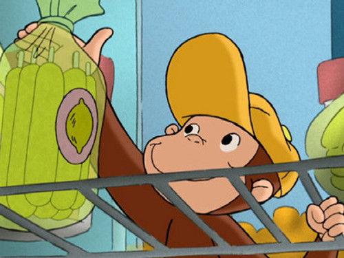Curious George Season 1 Episode 46 - George the Grocer