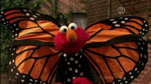 Sesame Street Season 42 Episode 12 - Elmo and the Butterfly