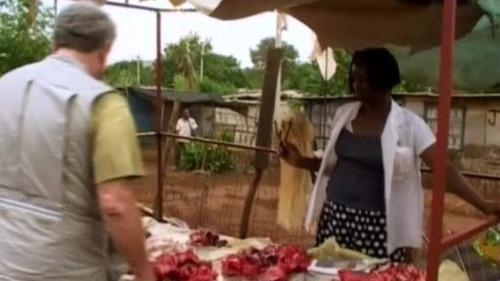 Kouzlo Afriky Season 1 Episode 15 - Episode 15