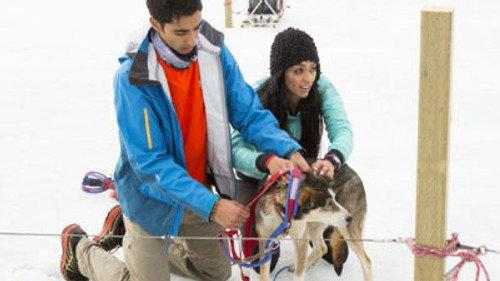 The Amazing Race Canada Season 2 Episode 5 - Who Designs These Torture Tests?