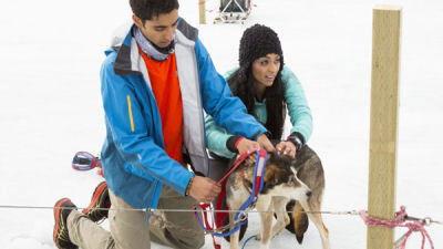 Background image for Who Designs These Torture Tests?