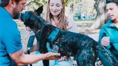 Background image for Second Chances for Lenny