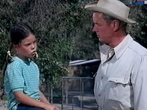 Daktari Season 4 Episode 13 - Jungle Heartbeat