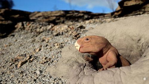 NOVA Season 53 Episode 4 - Mammal Origins