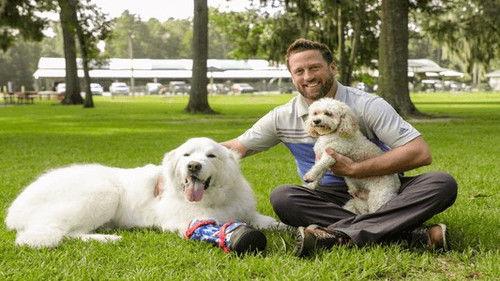 Background image for Gunner