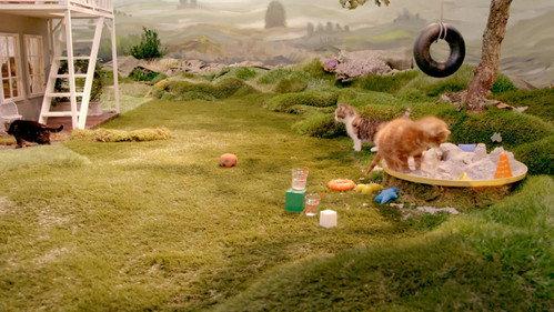 Poesjes Season 2 Episode 6 - Episode 6