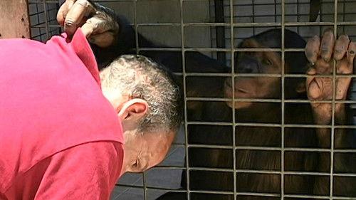 Monkey Business Season 9 Episode 5 - Episode 5