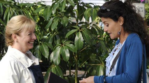 Yamaska Season 1 Episode 12 - Episode 12