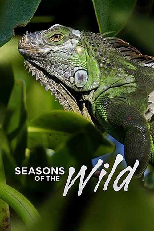 Seasons of the Wild poster