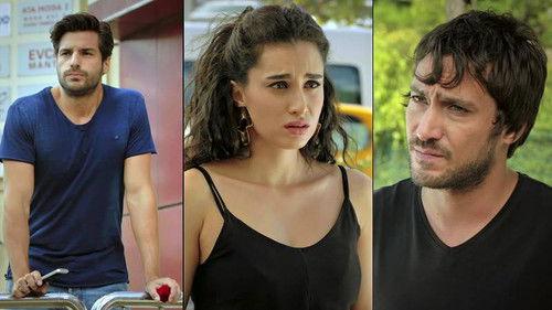 Hayatimin Aski Season 1 Episode 17 - Episode 17