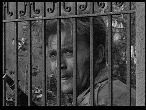 Combat! Season 1 Episode 26 - Battle of the Roses