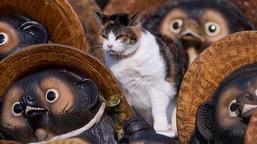 A Cat's-Eye View of Japan Season 3 Episode 1 - Shiga: Lake Biwa and Tanuki Raccoon Dogs