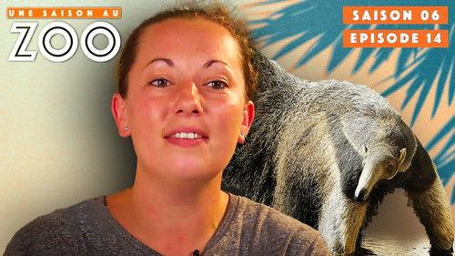 Une saison au zoo Season 6 Episode 14 - Episode 14