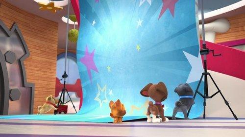 Puppy Dog Pals Season 5 Episode 7 - Family Pet Picture Day