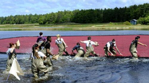 Top Chef Season 12 Episode 6 - The First Thanksgiving