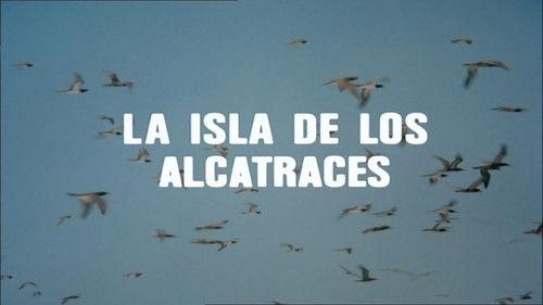 El hombre y la Tierra Season 1 Episode 16 - Episode 16